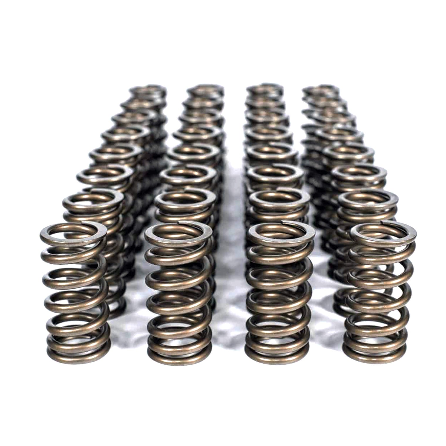 Valve Spring Kit S65 | BMW M3