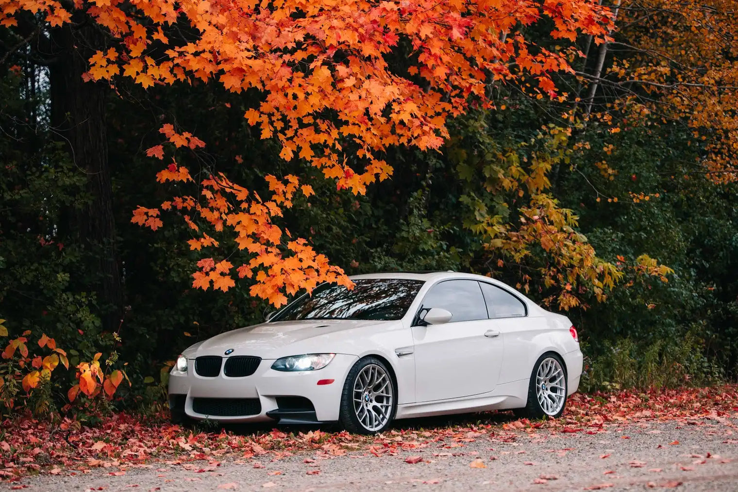 Swift Springs - Spec-R Lowering Springs - BMW E9X M3