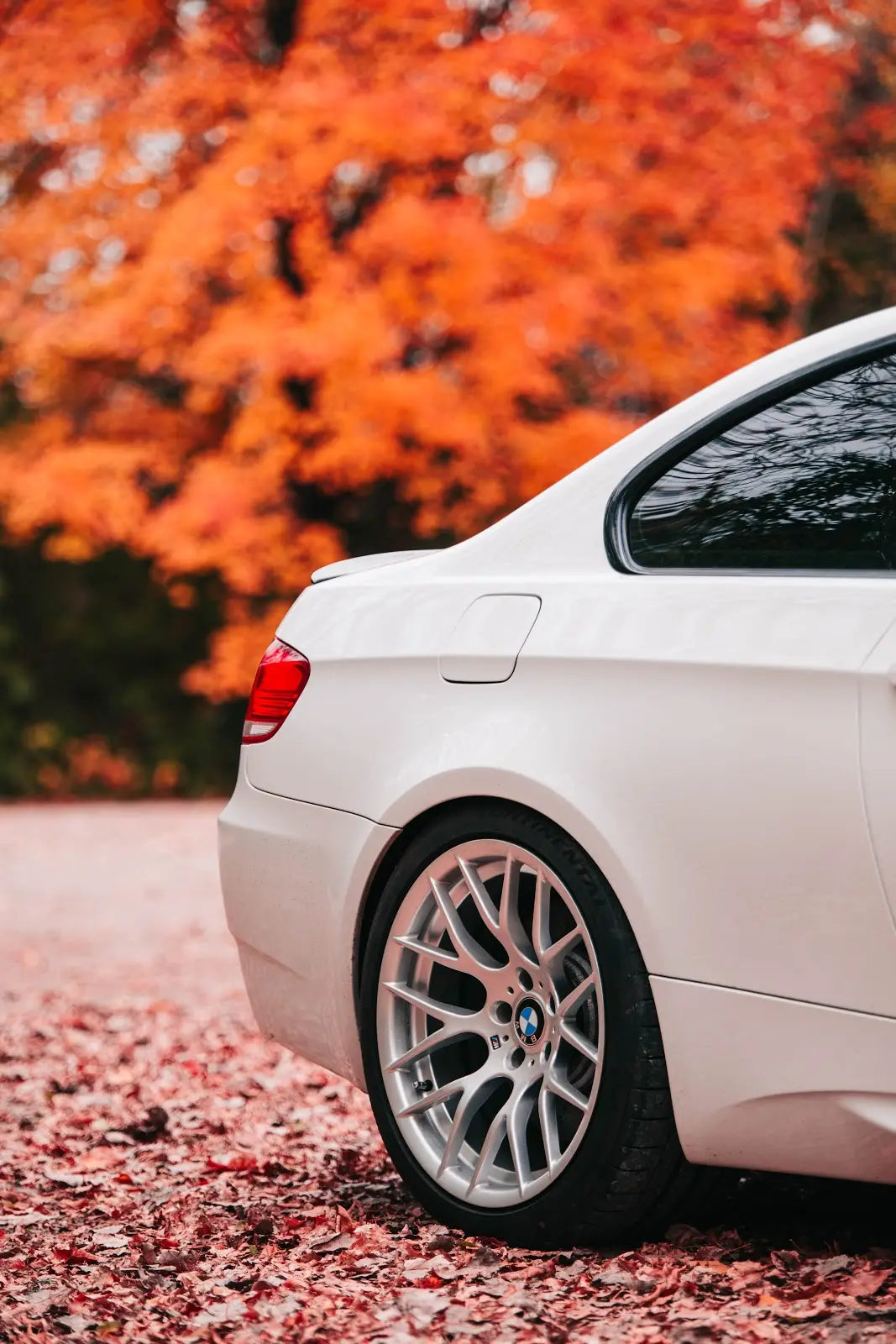 Swift Springs - Spec-R Lowering Springs - BMW E9X M3