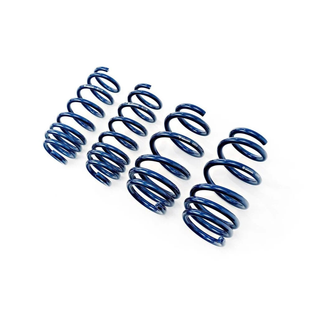 Unplugged Performance - Dual Rate Linear Lowering Spring Set - Tesla Model 3