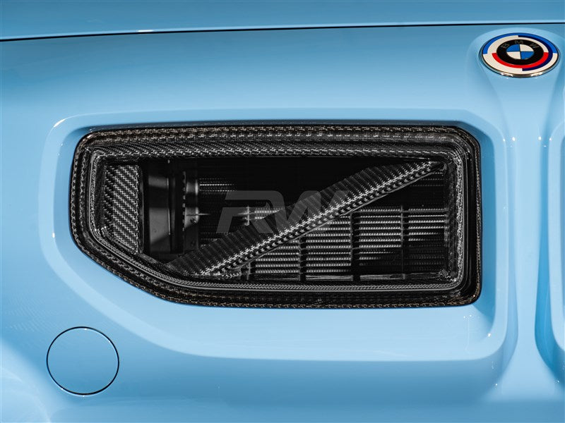 RW Carbon - Carbon Fiber GTX Grilles - BMW G87 M2