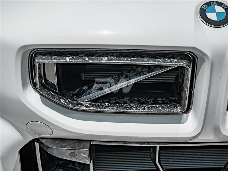 RW Carbon - Forged Carbon Fiber GTX Grilles - BMW G87 M2