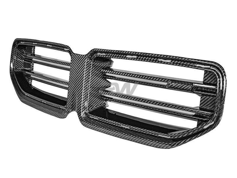 RW Carbon - OEM Style Carbon Fiber GTX Grilles - BMW G87 M2