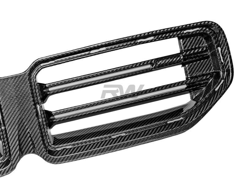 RW Carbon - OEM Style Carbon Fiber GTX Grilles - BMW G87 M2