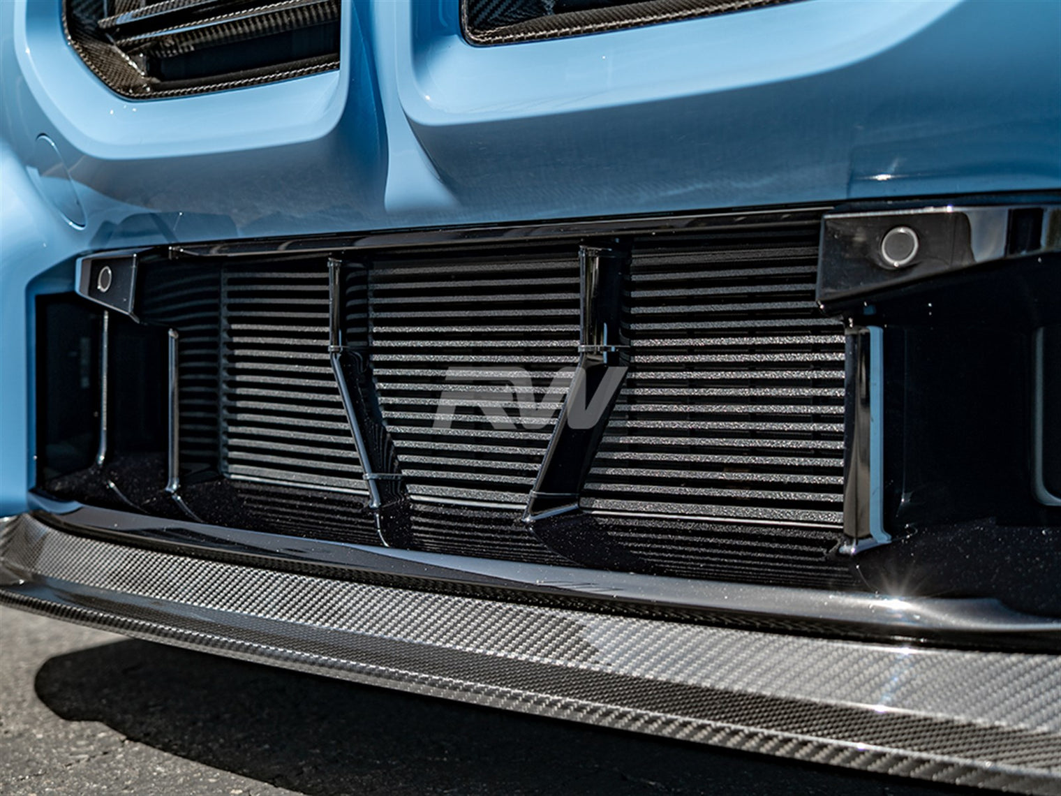 RW Carbon - ABS Mesh Lower Grille Guard - BMW G87 M2