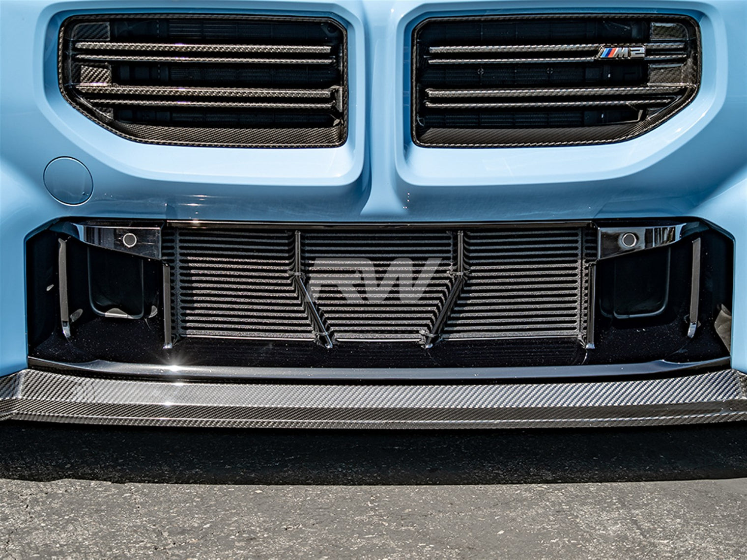 RW Carbon - ABS Mesh Lower Grille Guard - BMW G87 M2