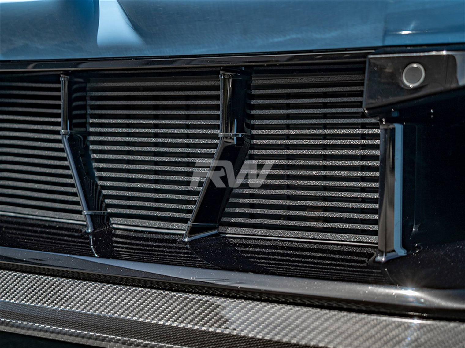 RW Carbon - ABS Mesh Lower Grille Guard - BMW G87 M2