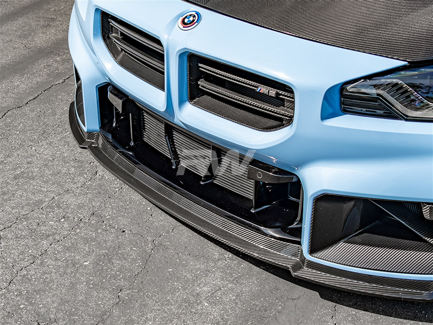 RW Carbon - ABS Mesh Lower Grille Guard - BMW G87 M2