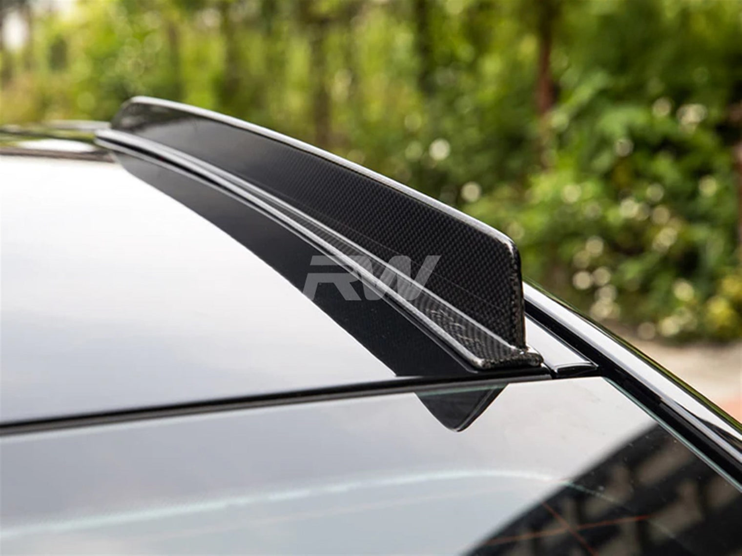 RW Carbon - Carbon Fiber Roof Spoiler Fin Set - G87 M2