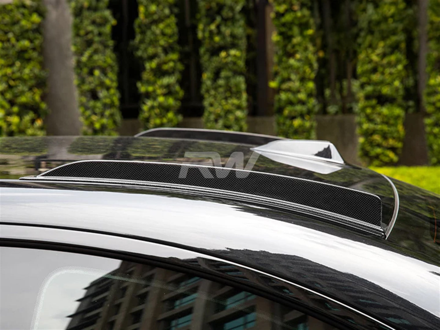 RW Carbon - Carbon Fiber Roof Spoiler Fin Set - G87 M2