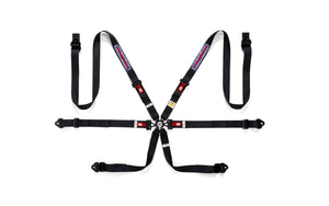 Sparco Martini Racing 3" 6-Point Harness