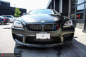 iND f06 f12 f13 m6 painted front grille set - iND Distribution