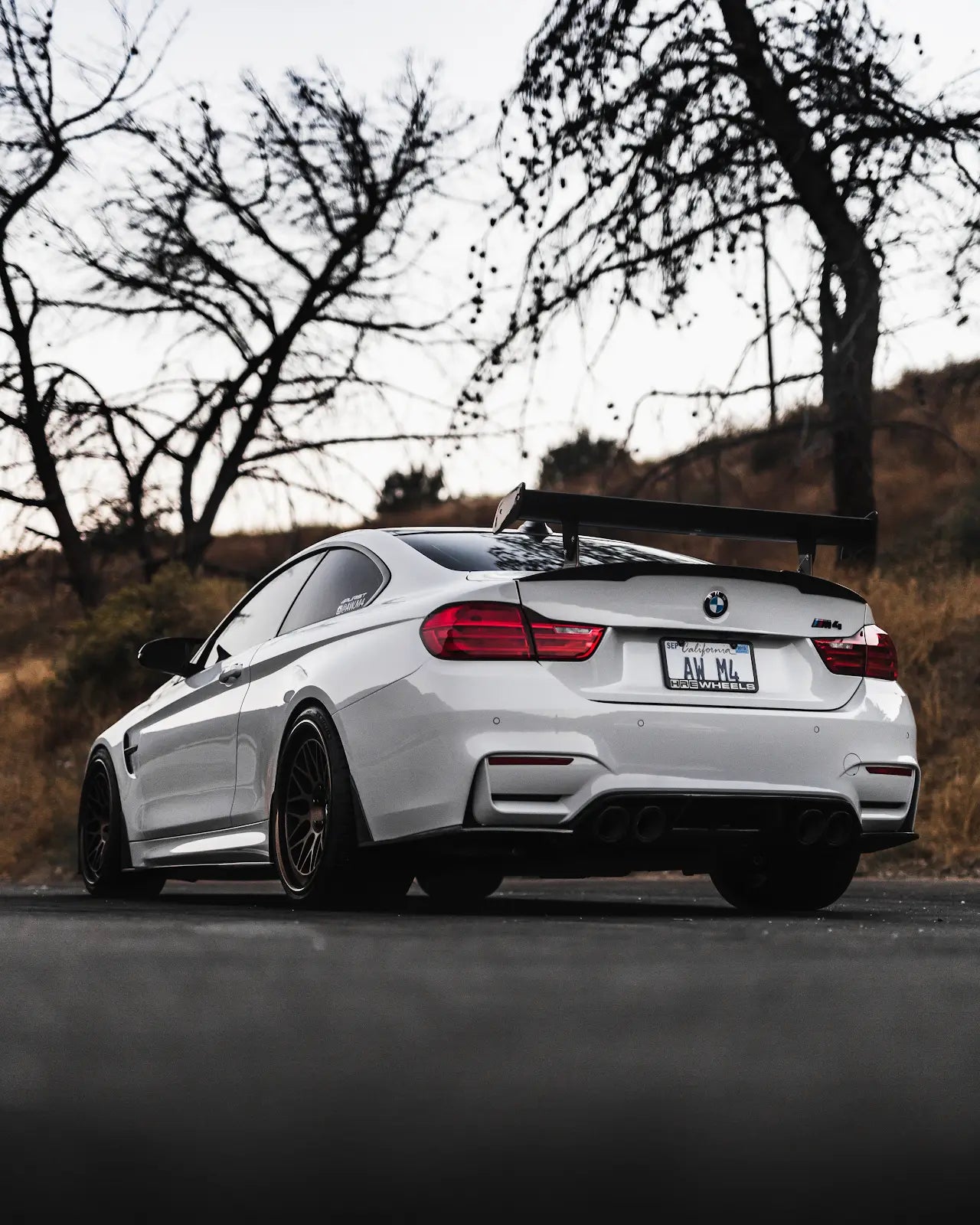 Swift Springs - Spec-R Lowering Springs - BMW F8X M3/M4