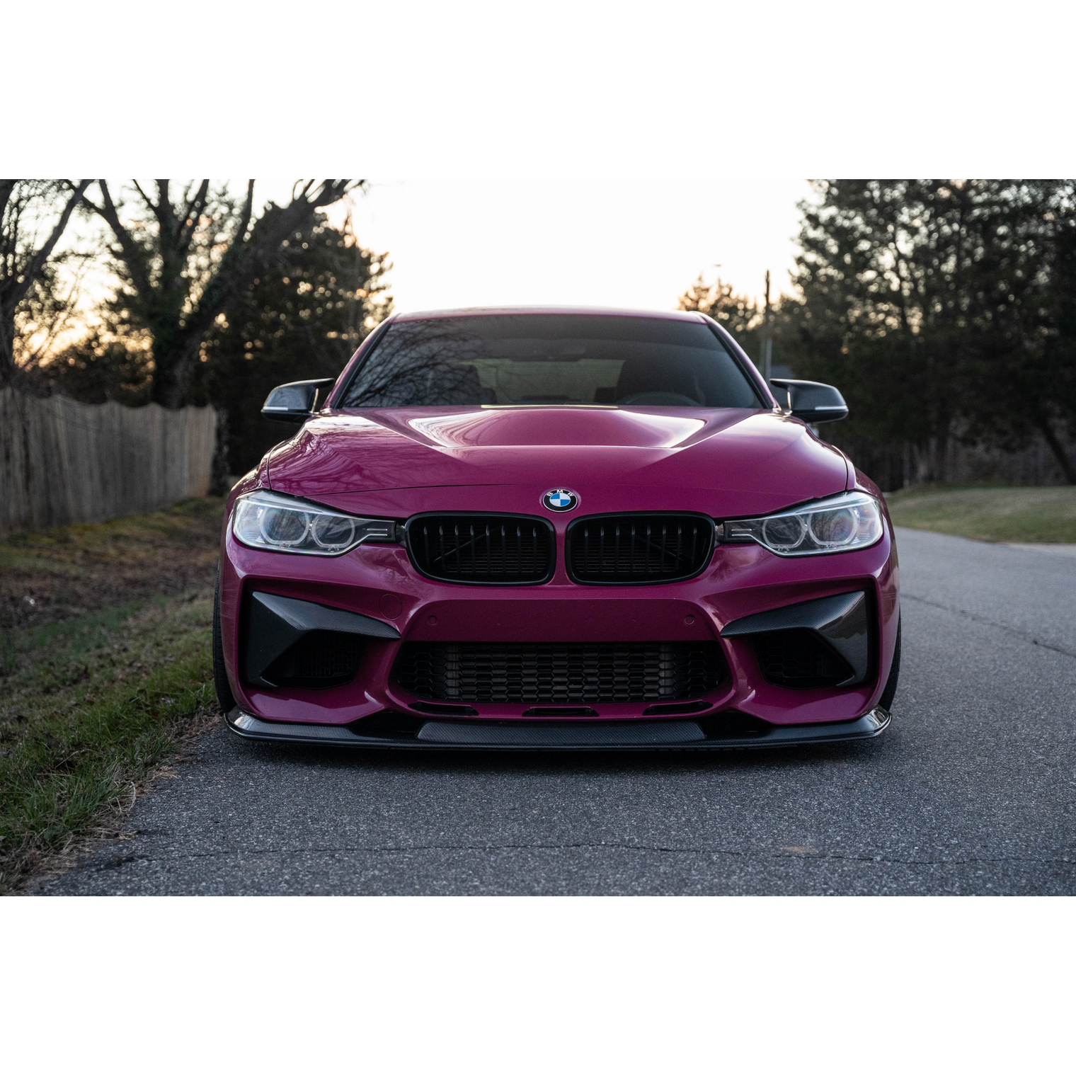 Suvneer Motorsports - Carbon Fiber Front Bumper Fangs - BMW F87 M2