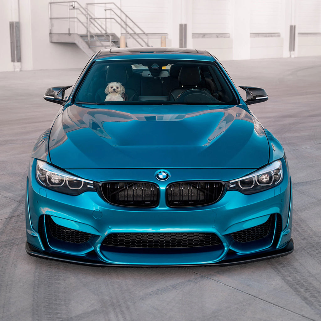 Suvneer Motorsports - Laptorr Designed Carbon Fiber Front Lip - BMW F8X M3/M4