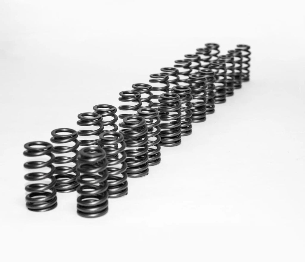 Carbahn - S55 High Performance Engine (Stage 1) - BMW F8X M2/M3/M4