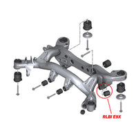 SPL Parts - Rear Lower Control Arm Inner Bushings - BMW E9X M3