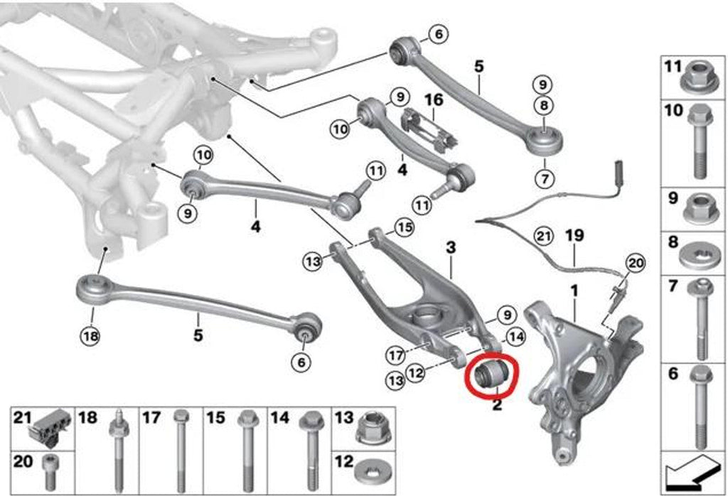 SPL Parts - Rear Lower Control Arm Knuckle Bushings - BMW F8X M2C/M3/M4