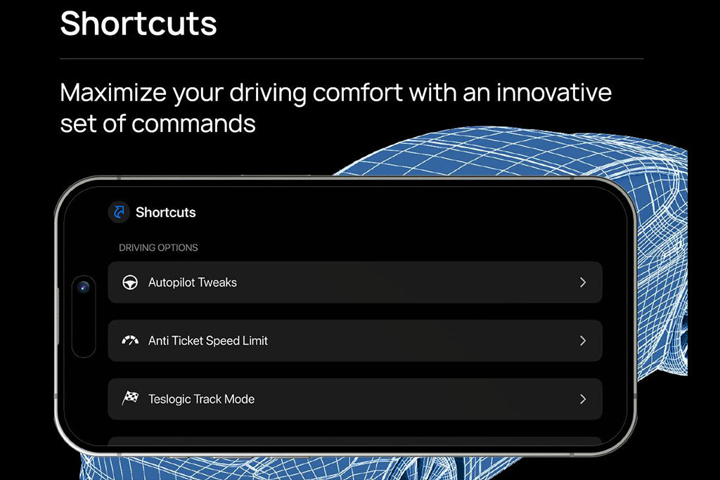 Teslogic - Pro Boost Kit (+60hp) - Tesla Model 3/Model Y