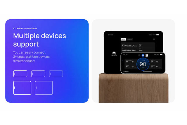 Teslogic - Transmitter Kit v2 - Tesla Model 3/Model Y