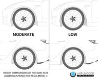 Unplugged Performance - Dual Rate Linear Lowering Spring Set - Tesla Model 3