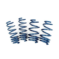 Unplugged Performance - Dual Rate Linear Lowering Spring Set - Tesla Model 3
