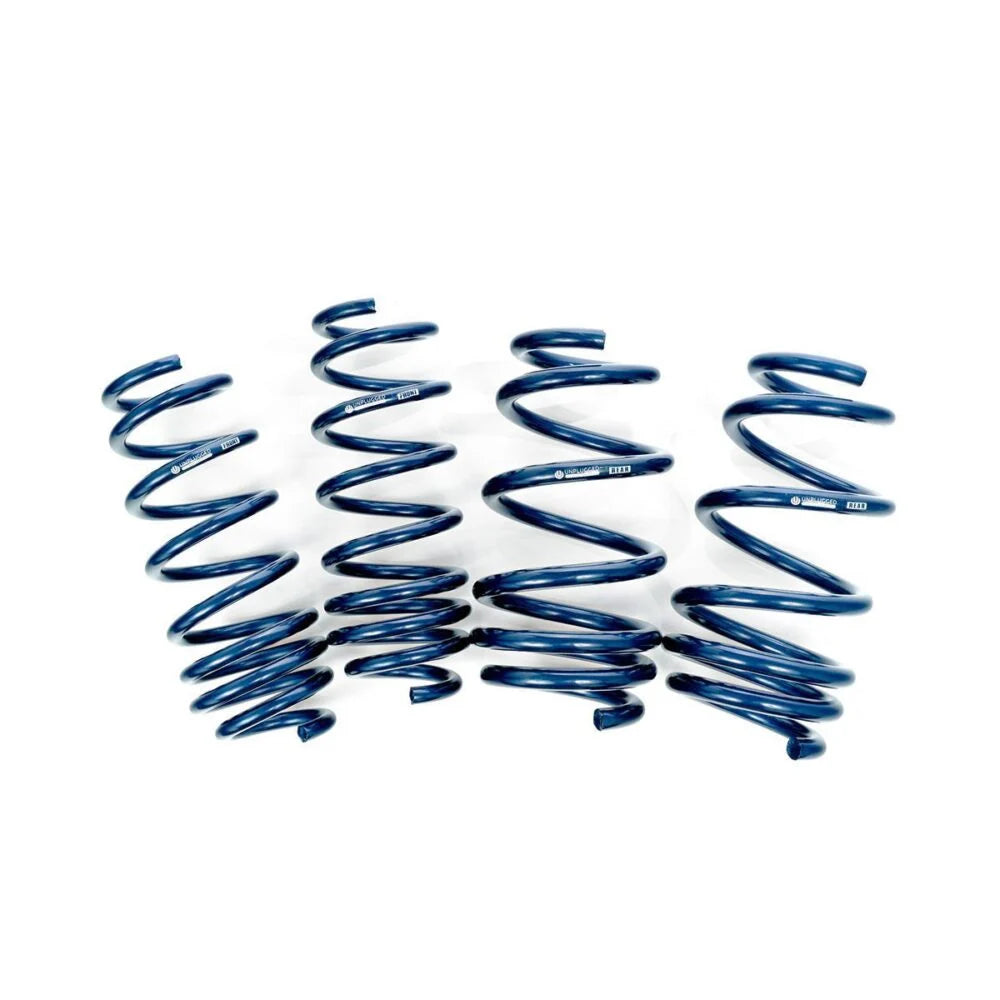 Unplugged Performance - Dual Rate Linear Lowering Spring Set - Tesla Model 3