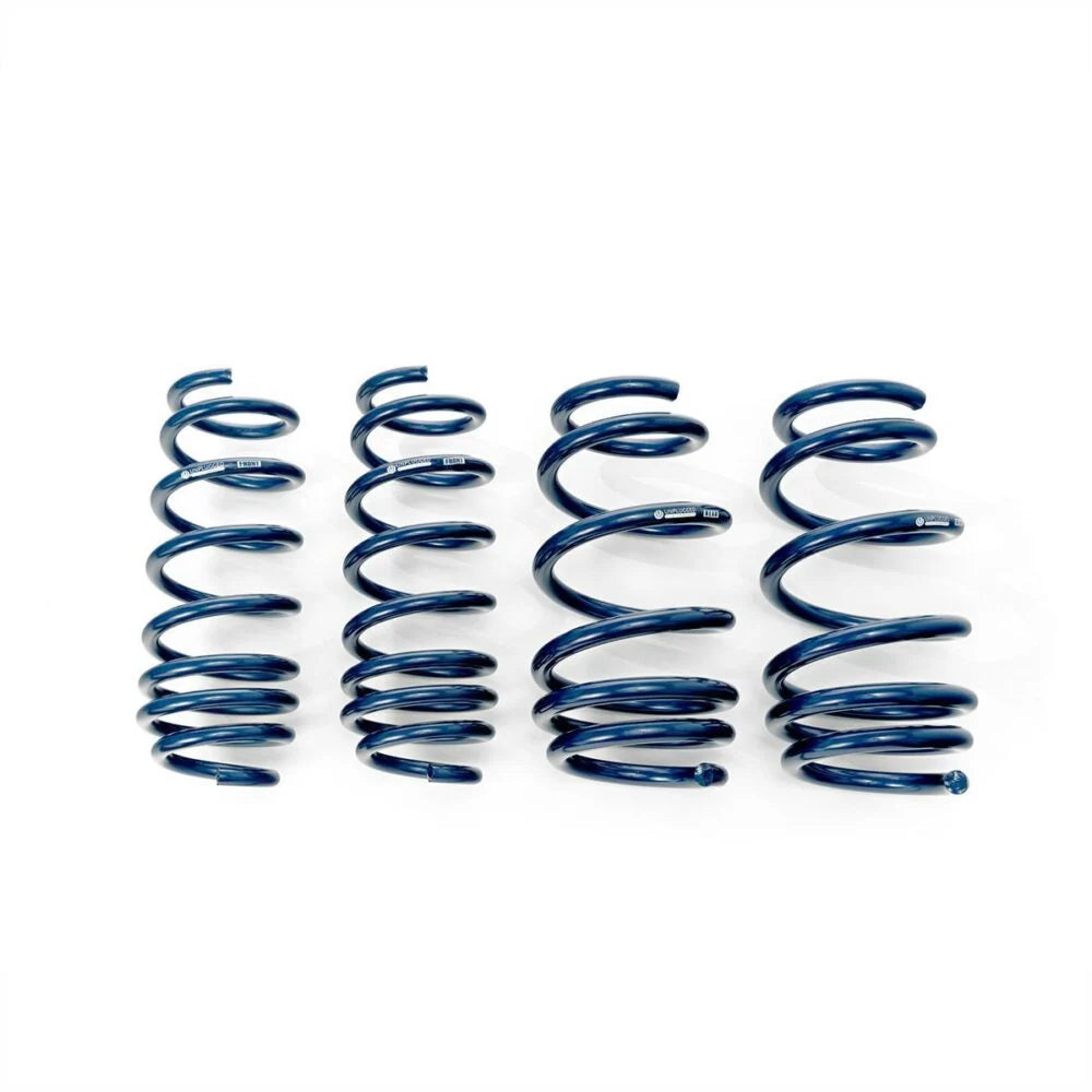 Unplugged Performance - Dual Rate Linear Lowering Spring Set - Tesla Model 3