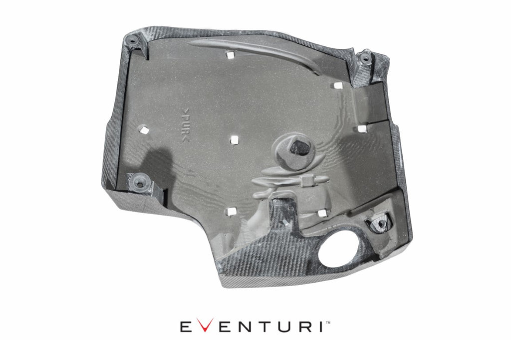 Eventuri - Carbon Fiber Plenum Engine Cover - BMW F87 M2 (N55)