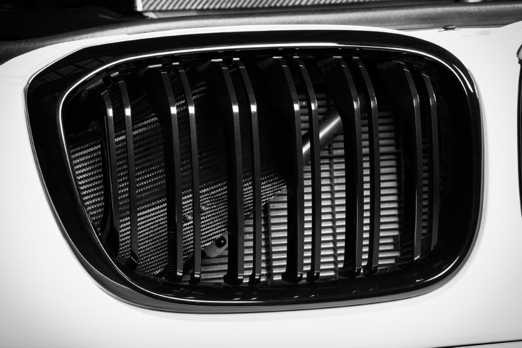 Eventuri - Carbon Fiber Airbox Lid & Intake Scoops- BMW F97/F98 X3M/X4M