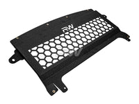 RW Carbon - Oil Cooler Guard  - BMW F8X M2/M3/M4