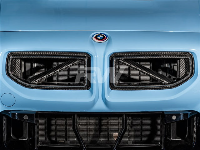 RW Carbon - Carbon Fiber GTX Grilles - BMW G87 M2