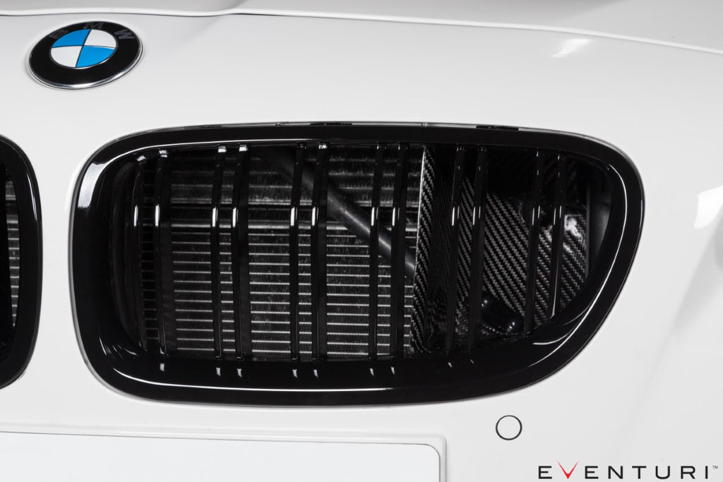 Eventuri - Carbon Fiber Cold Air Intake - BMW F10 M5