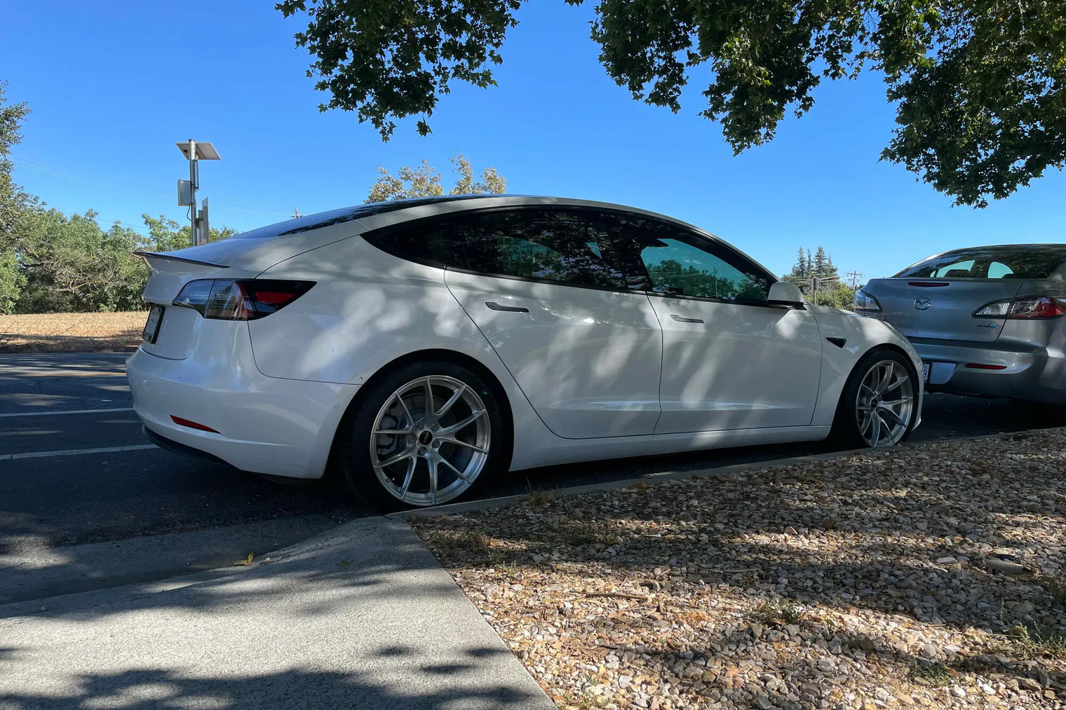 Apex - Sprint Line VS-5RS Forged Wheel - Tesla (5x114)