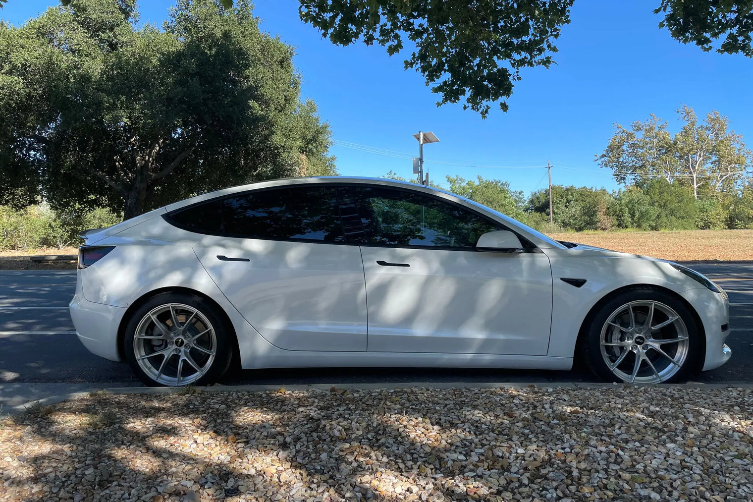 Apex - Sprint Line VS-5RS Forged Wheel - Tesla (5x114)