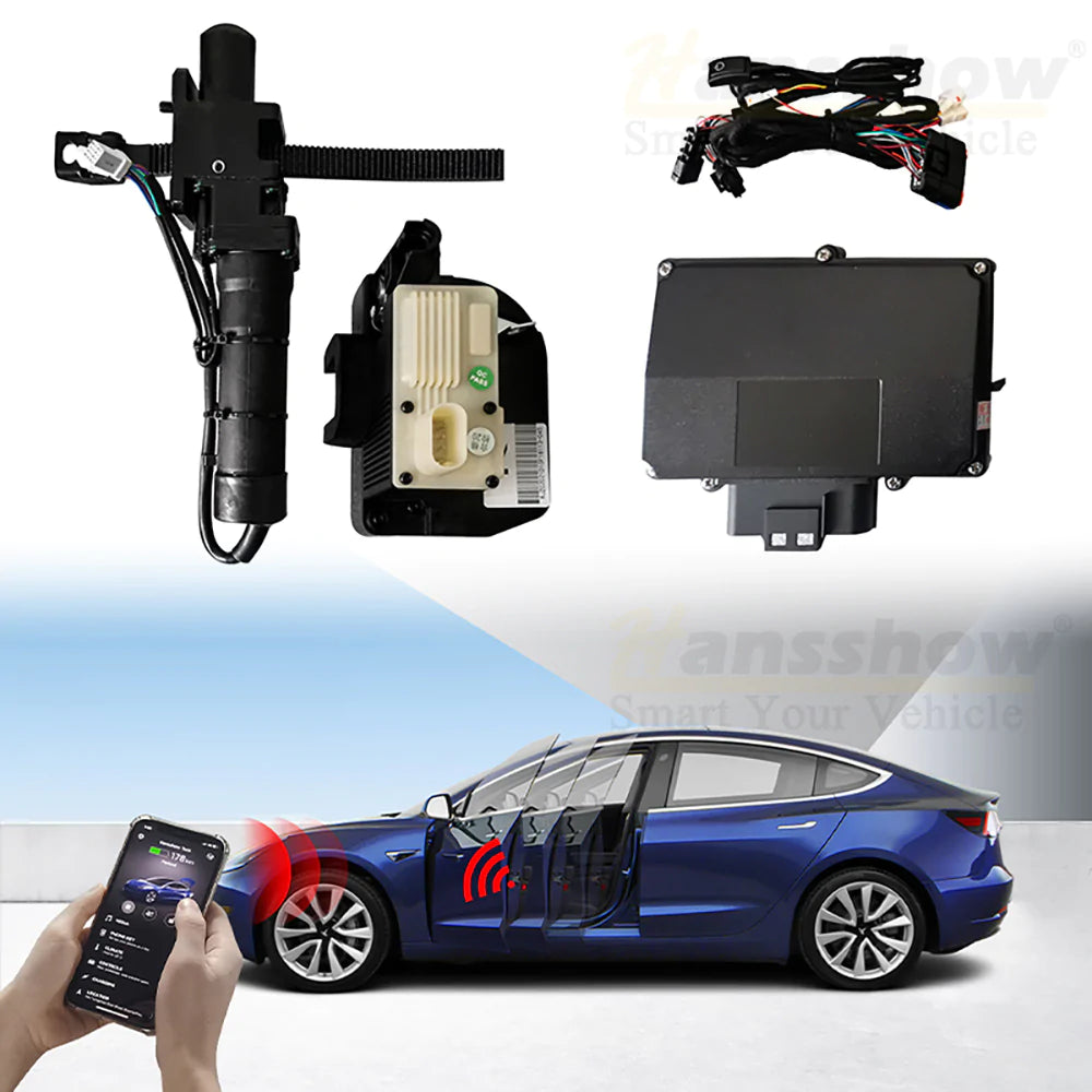 Tesla self presenting online doors