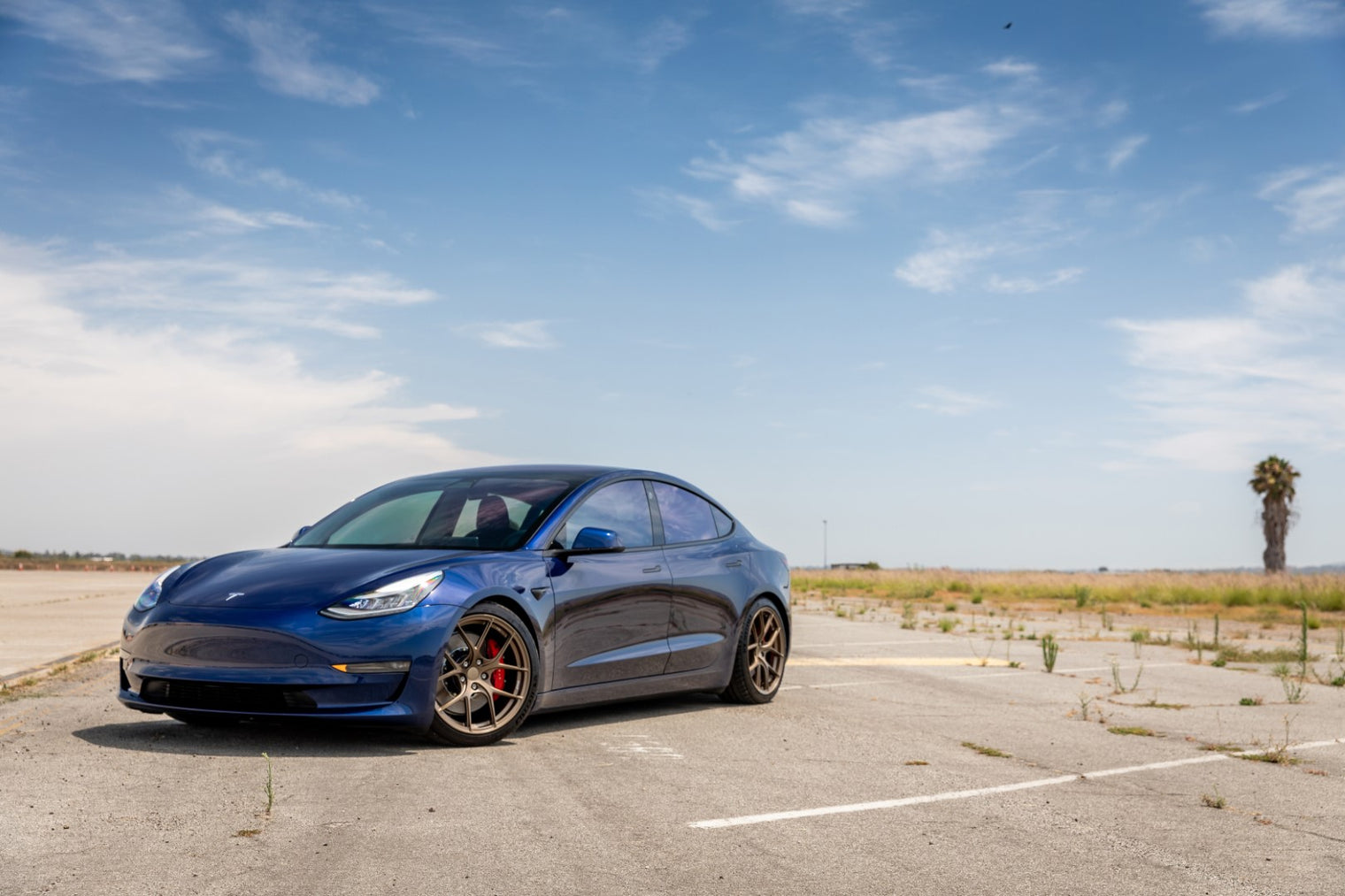 Titan 7 - T-S5 Forged Split 5 Spoke Wheel - Tesla (5x114)